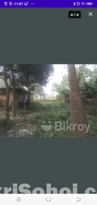 Maloncha Roadside 9 shatak jomi bikroy hobe